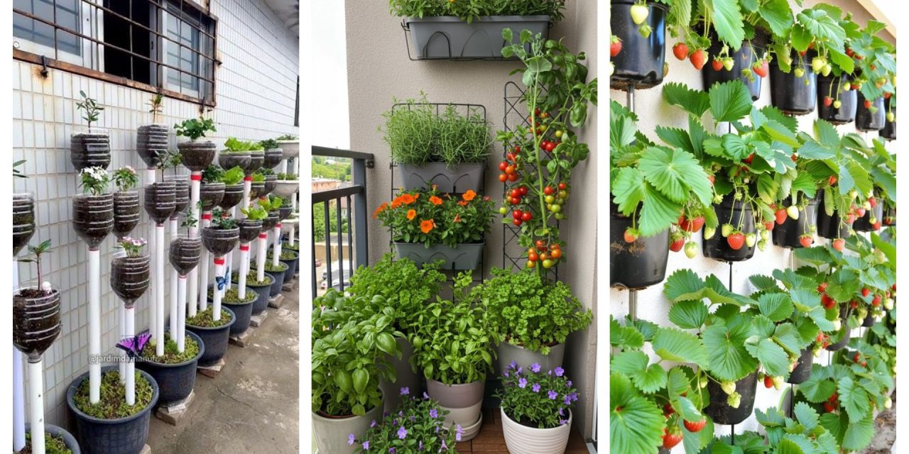 Berkebun Di Rumah: Ide Kreatif Untuk Memaksimalkan Ruang