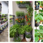 Berkebun Di Rumah: Ide Kreatif Untuk Memaksimalkan Ruang