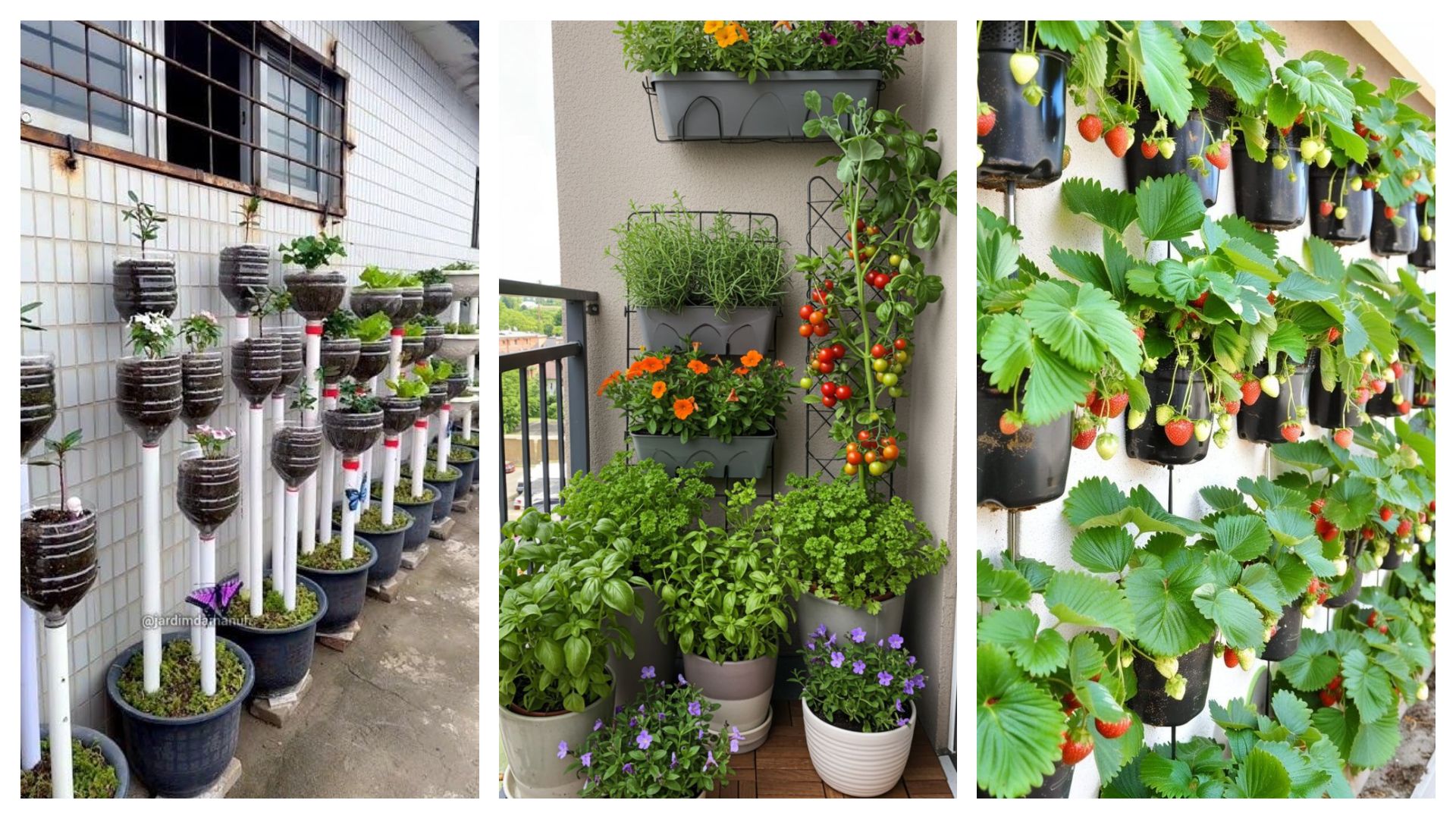 Berkebun Di Rumah: Ide Kreatif Untuk Memaksimalkan Ruang