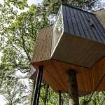 Keunikan Rumah Pohon Sebagai Hunian Kreatif