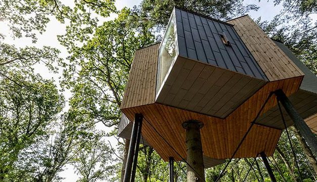 Keunikan Rumah Pohon Sebagai Hunian Kreatif