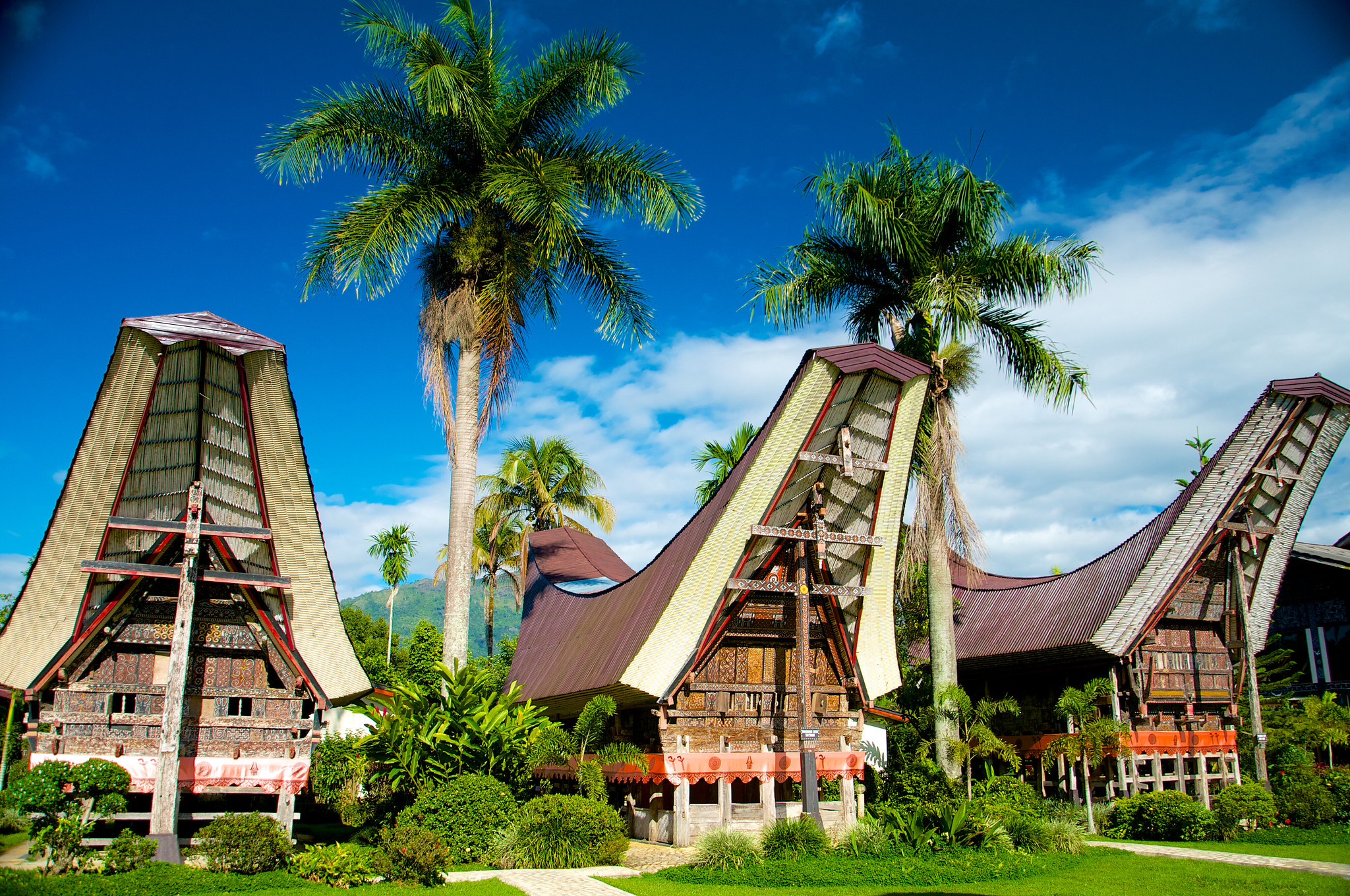 Peran Rumah Adat Toraja Dalam Kehidupan Sosial Masyarakat