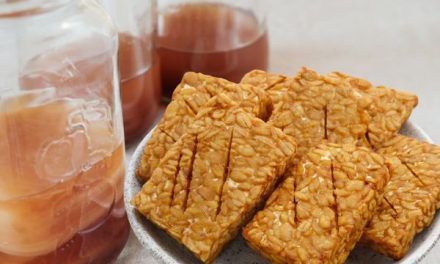 Makanan Fermentasi Yang Baik Untuk Pencernaan