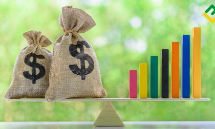 Membangun Portofolio Investasi Seimbang Untuk Jangka Panjang