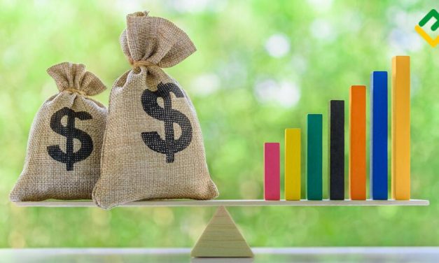 Membangun Portofolio Investasi Seimbang Untuk Jangka Panjang
