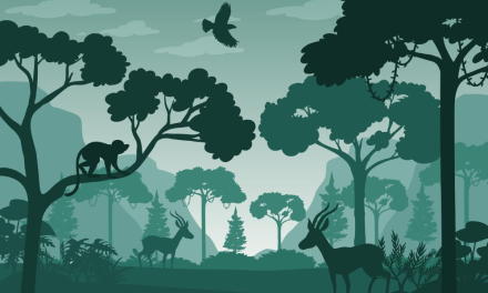 Pentingnya Pengelolaan Hutan Berkelanjutan Terhadap Satwa Liar