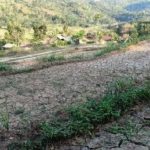 Gelombang Panas Melanda Indonesia Dampak Terhadap Pertanian