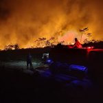 Krisis Kebakaran Hutan Kalimantan: Asap, Satwa, Dan Titik Api