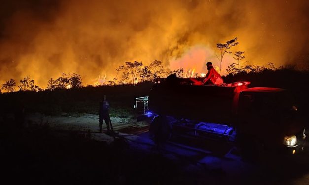 Krisis Kebakaran Hutan Kalimantan: Asap, Satwa, Dan Titik Api