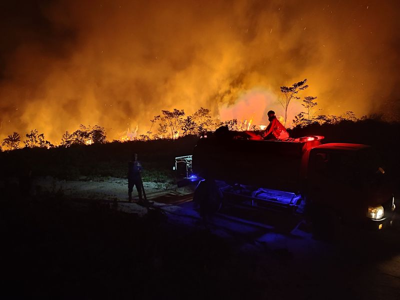 Krisis Kebakaran Hutan Kalimantan: Asap, Satwa, Dan Titik Api