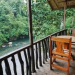 Weekend Di Tangkahan: Menikmati Alam, Hutan, Dan Sungai