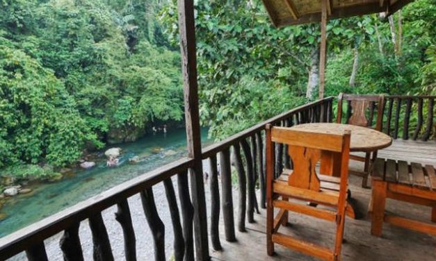Weekend Di Tangkahan: Menikmati Alam, Hutan, Dan Sungai