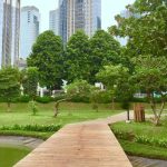 Hutan Kota: Ruang Hijau Menciptakan Lingkungan Lebih Sejuk
