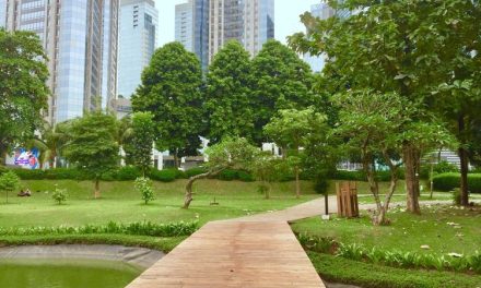 Hutan Kota: Ruang Hijau Menciptakan Lingkungan Lebih Sejuk