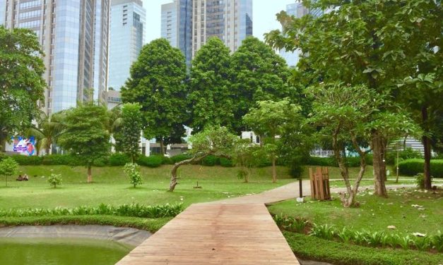 Hutan Kota: Ruang Hijau Menciptakan Lingkungan Lebih Sejuk