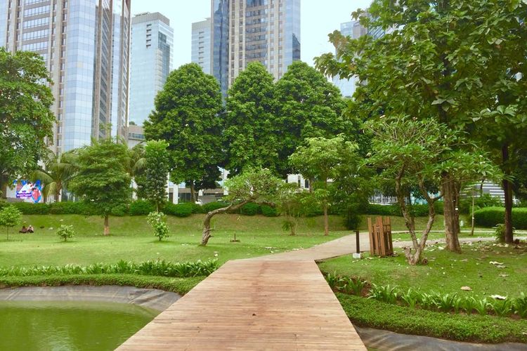Hutan Kota: Ruang Hijau Menciptakan Lingkungan Lebih Sejuk