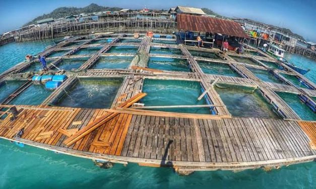 Industri Perikanan: Menjaga Produktivitas Dan Kelestarian Laut